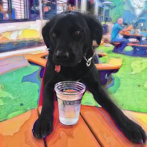 Meet your Posher, Joy